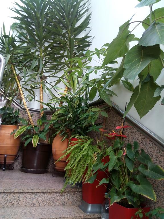 Residencial Moeda Hotel Коимбра Екстериор снимка