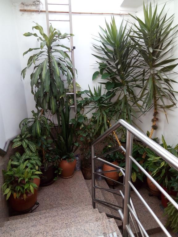 Residencial Moeda Hotel Коимбра Екстериор снимка