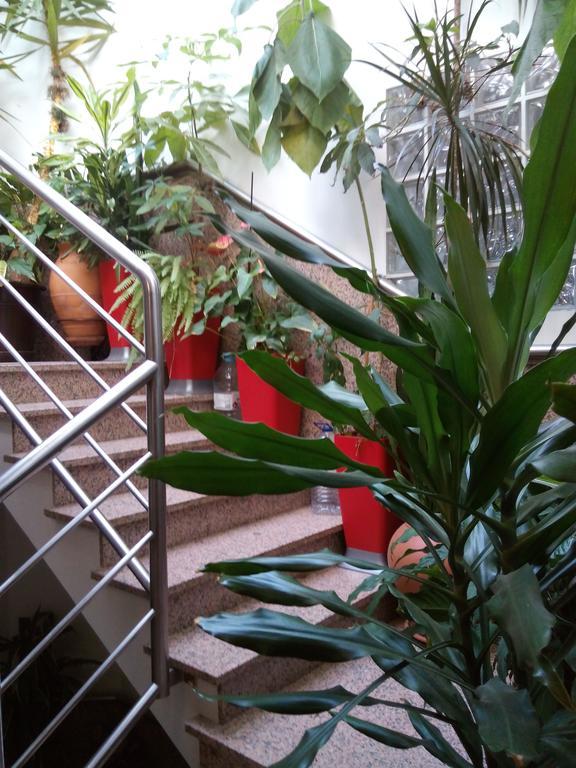 Residencial Moeda Hotel Коимбра Екстериор снимка